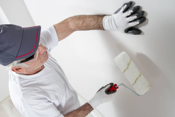 Best Mold Documentation for Insurance Claims  in Luck, WI
