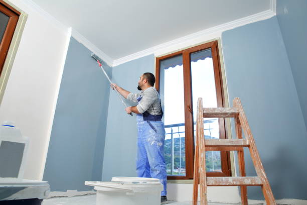 Best Post-Construction Mold Inspection  in Luck, WI