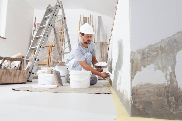 Best Air Quality Testing for Mold Spores  in Luck, WI