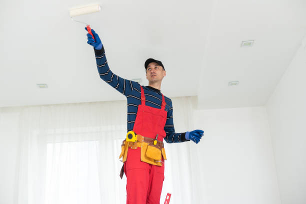 Best Real Estate Mold Inspection  in Luck, WI