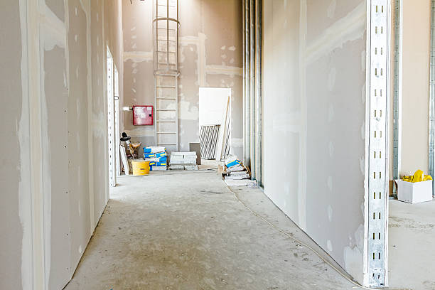Best Biohazard Mold Removal  in Luck, WI